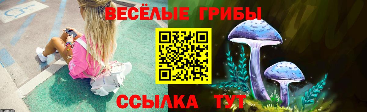 Псилоцибиновые грибы Psilocybe Южно-Сахалинск